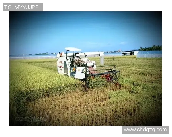 足球场上的传奇瞬间 每一脚都是历史的见证 经典画面定格永恒辉煌